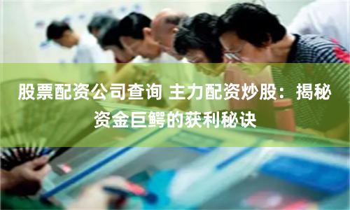 股票配资公司查询 主力配资炒股：揭秘资金巨鳄的获利秘诀