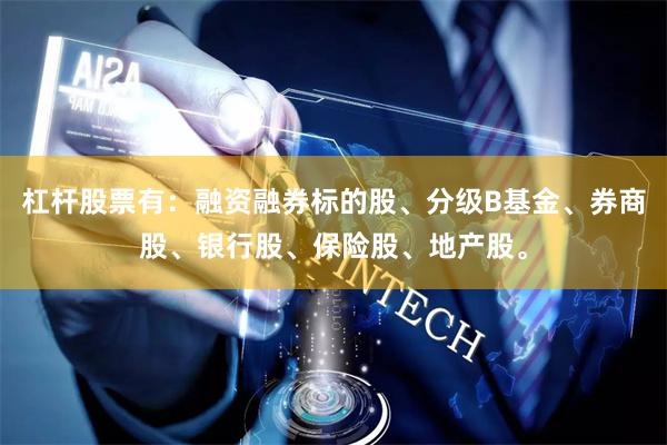 杠杆股票有：融资融券标的股、分级B基金、券商股、银行股、保险股、地产股。
