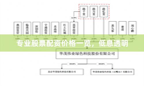 专业股票配资价格一览,低息透明